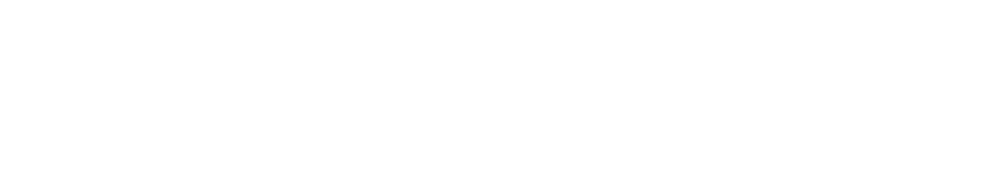 Aanpak Levensgebeurtenissen